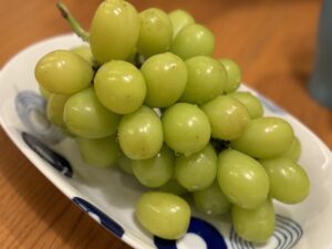 シャインマスカット｜京急雑色駅　歯医者　六郷歯科クリニック